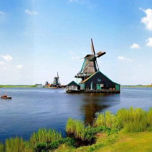 荷兰大臣承认：对中方反应“措手不及”